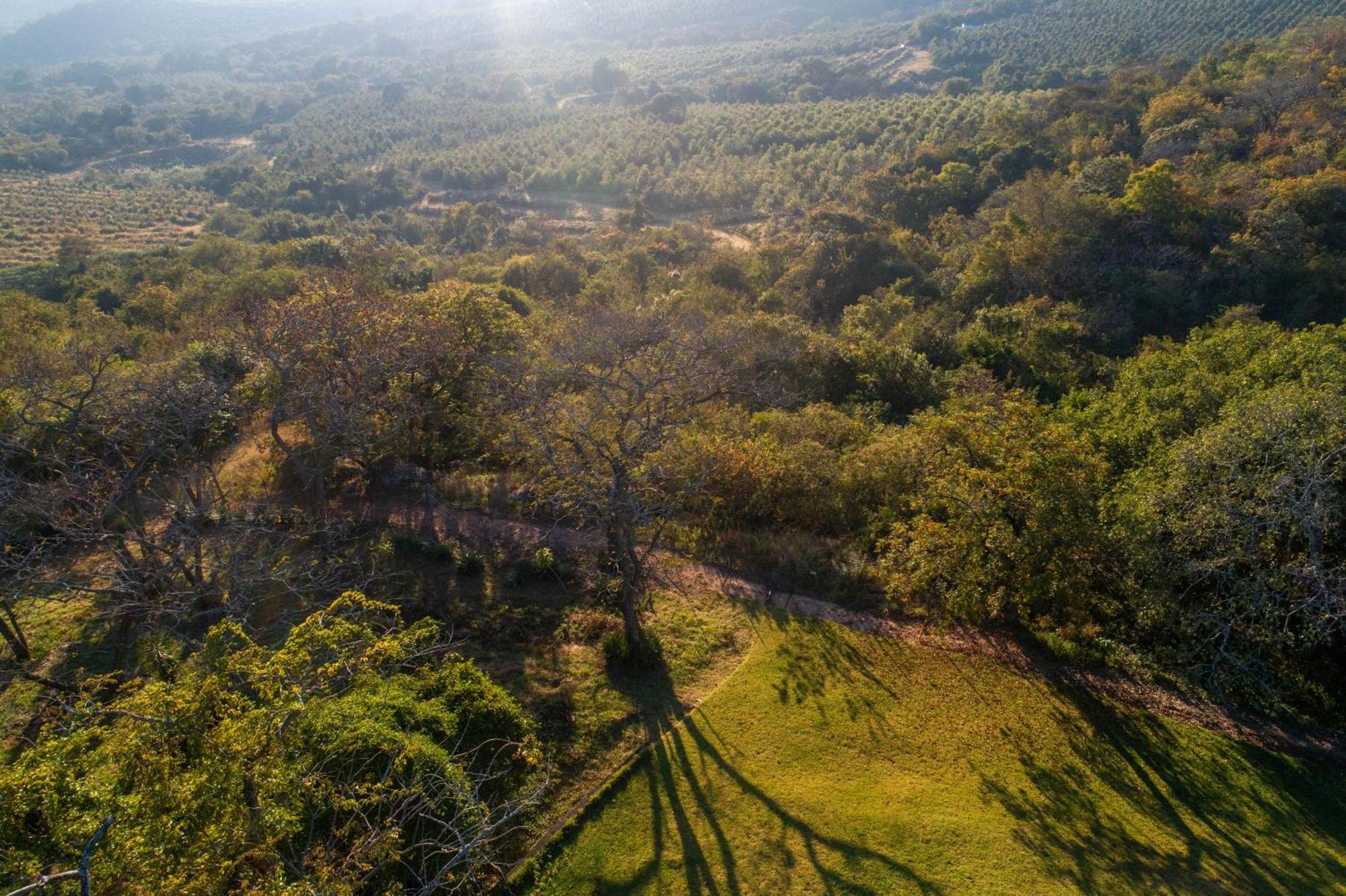 Chestnut Country Lodge Hazyview Kültér fotó